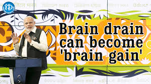Essay On The Brain