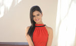 Meenakshi Dixit at Adavi Kachina Vennela Audio-thumbnail