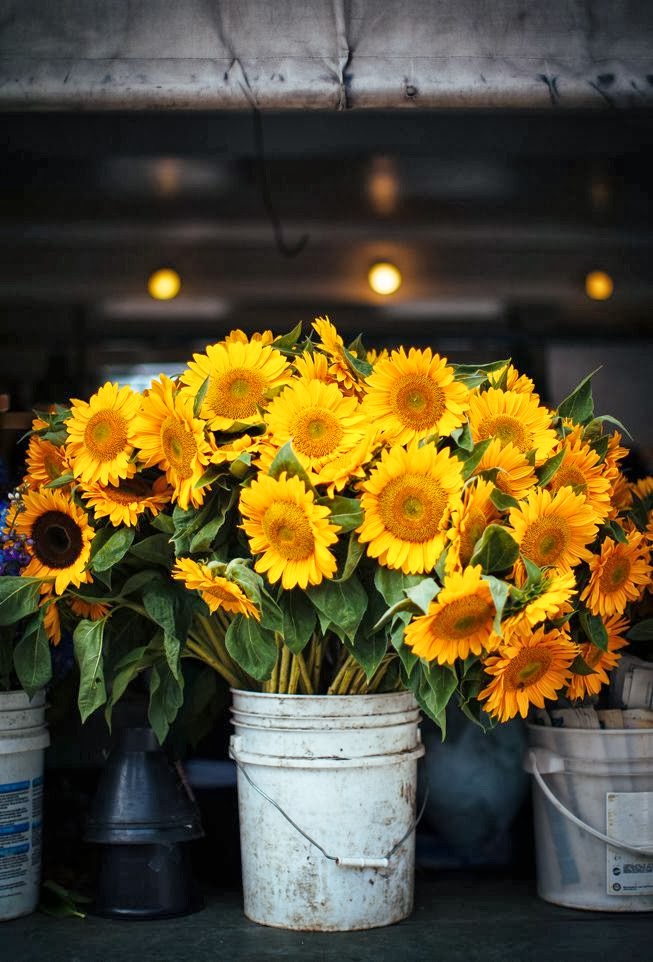 According to BRASWELL Flowers + Santa Monica, CA