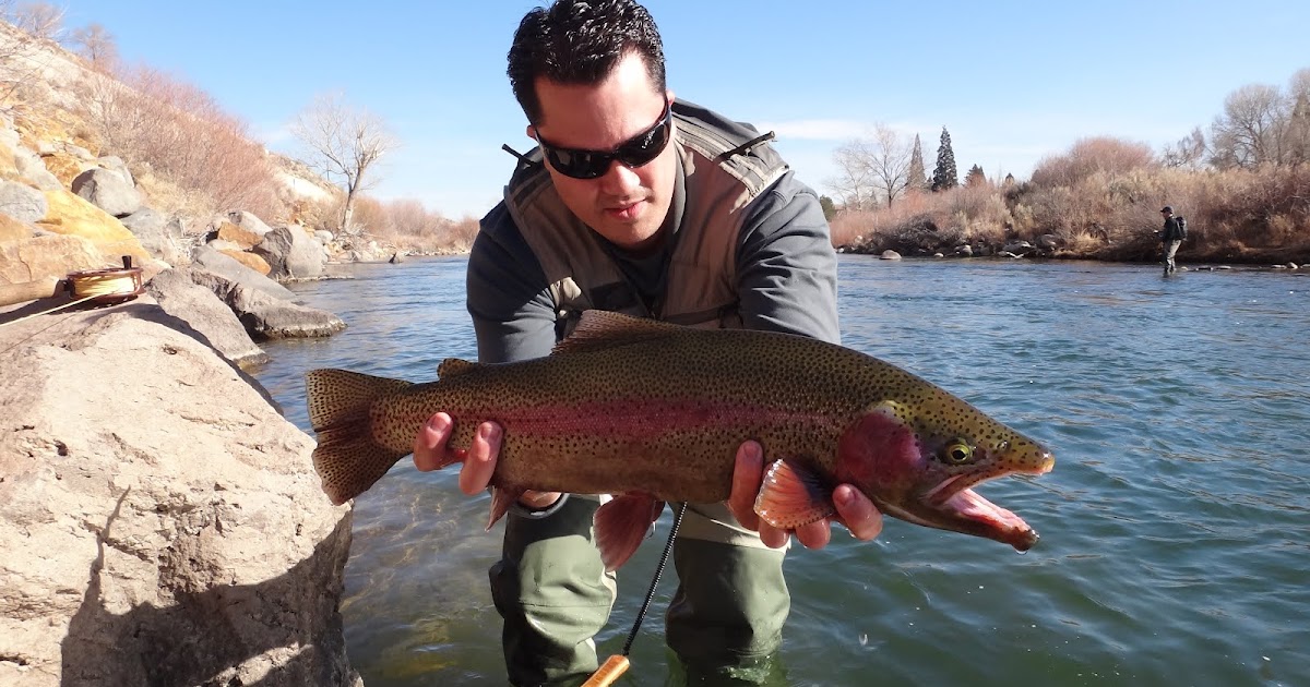 The Fly Syndicate Truckee River Midgetastic