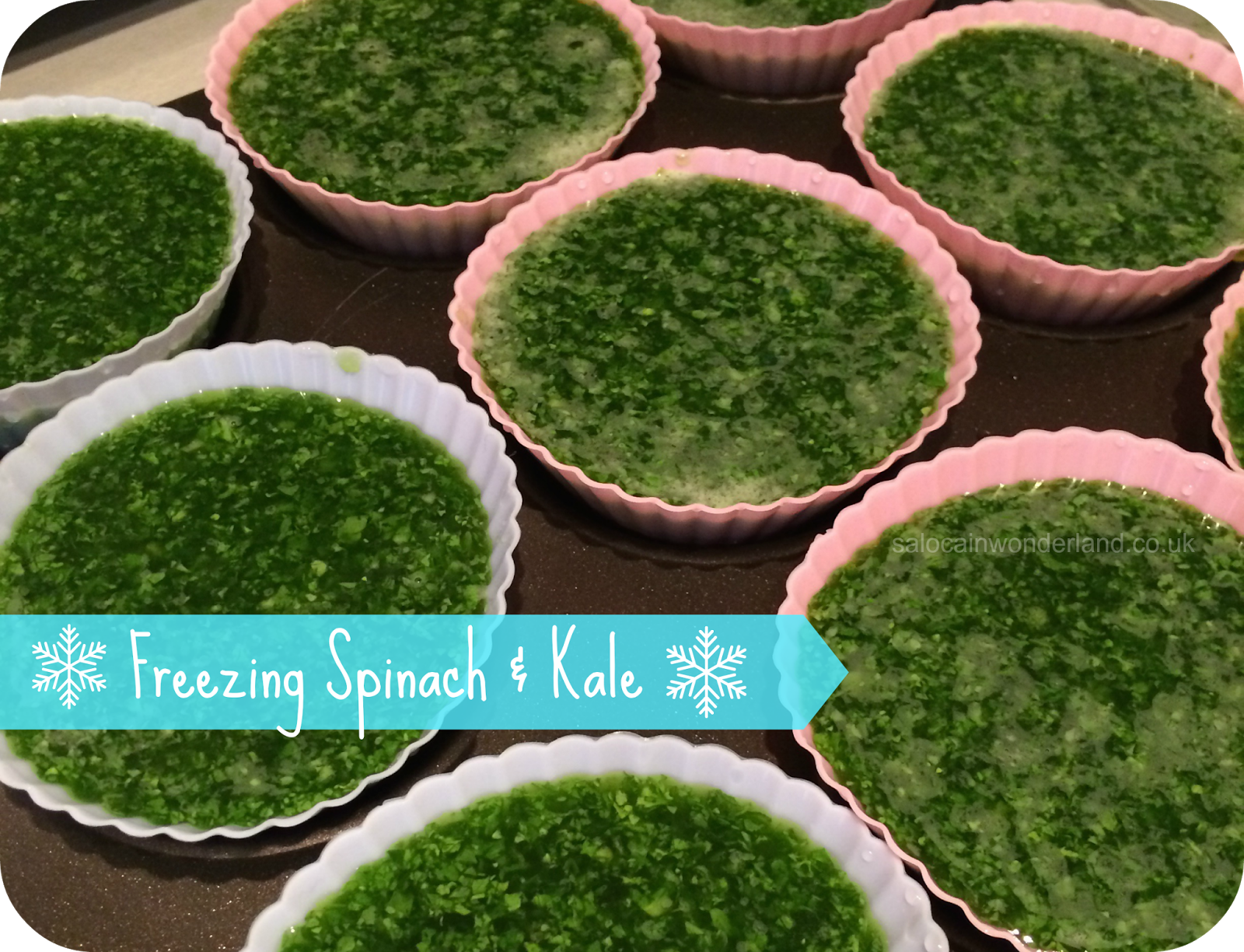 Saloca in Wonderland Freezing spinach and kale for green juice smoothies!