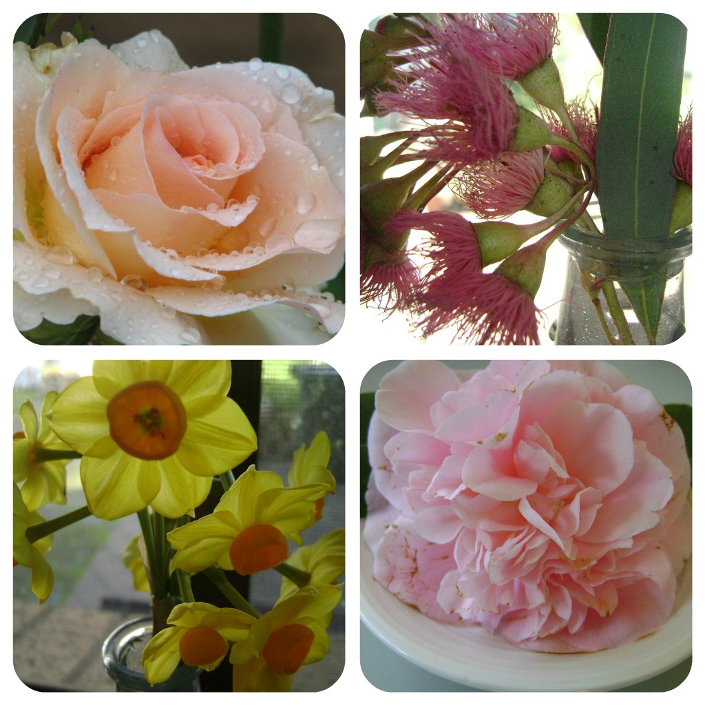 'As Sweet as Cinnamon' Spring Glorious Spring....