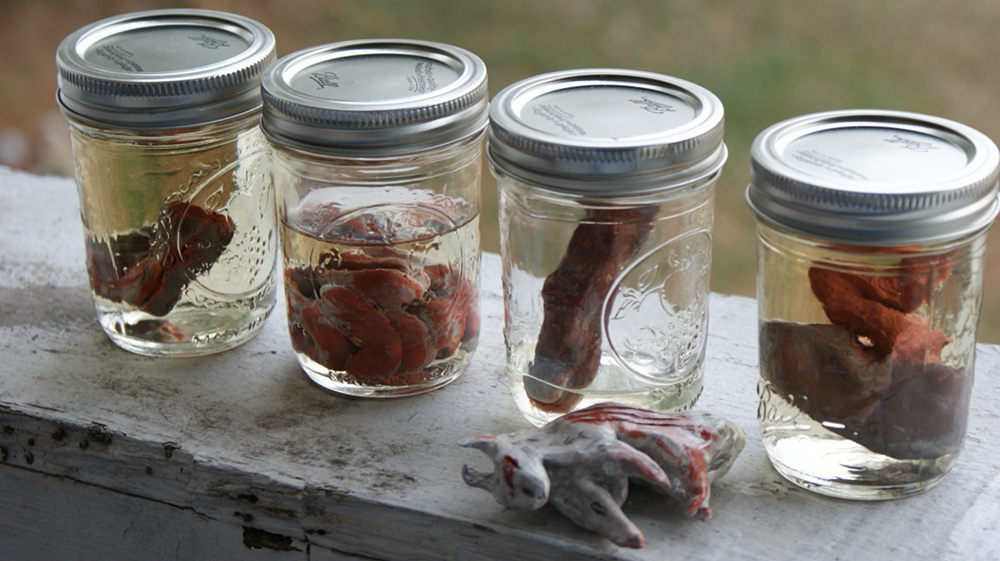 American Horror Story Inspired Preserved Organs DIY Basement Horrors