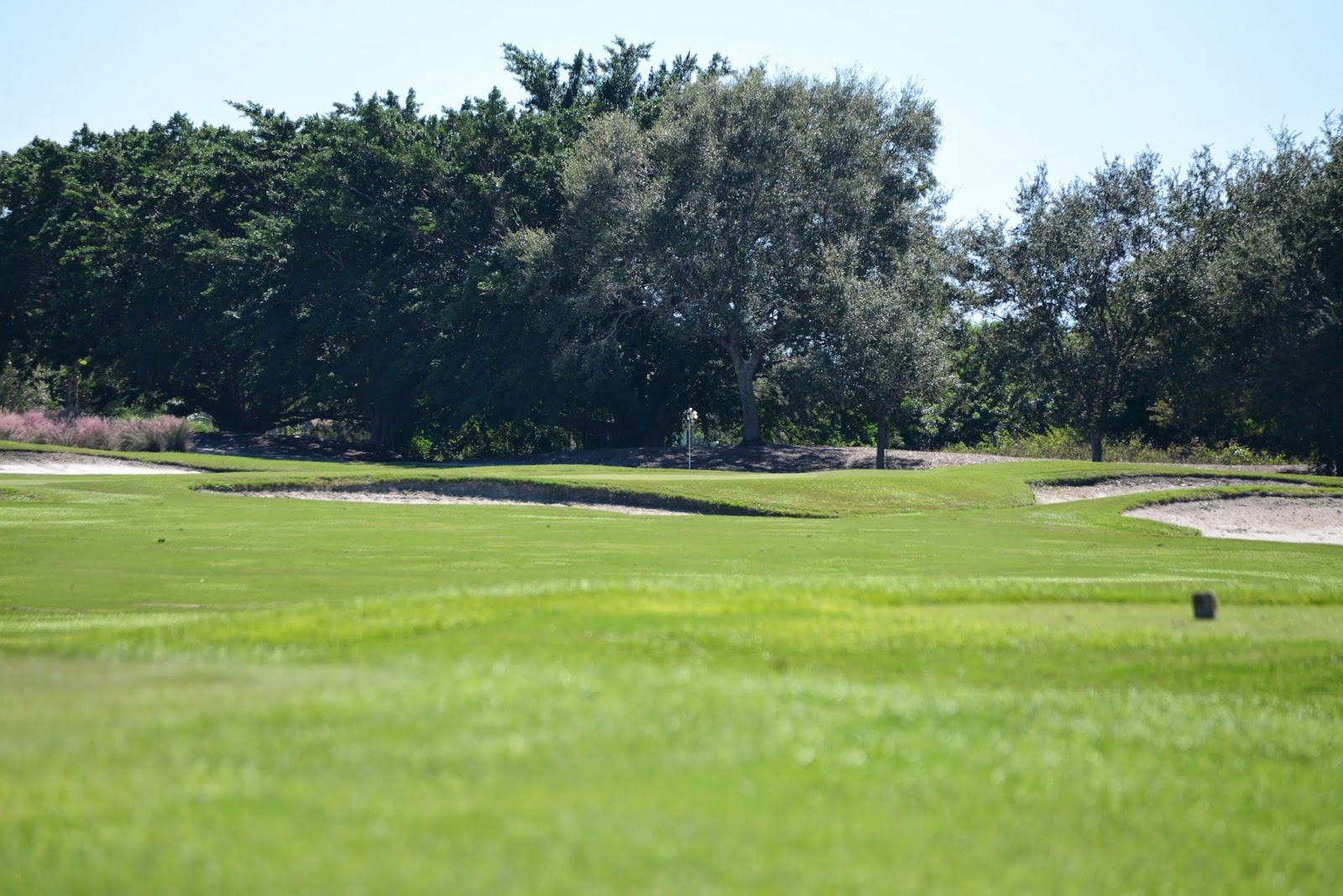 Southern States Heron Bay Golf and a day on the beach Fort Lauderdale