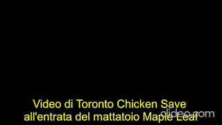 Codice a barre. Video di Toronto Chicken Save all'entrata di un mattatoio.