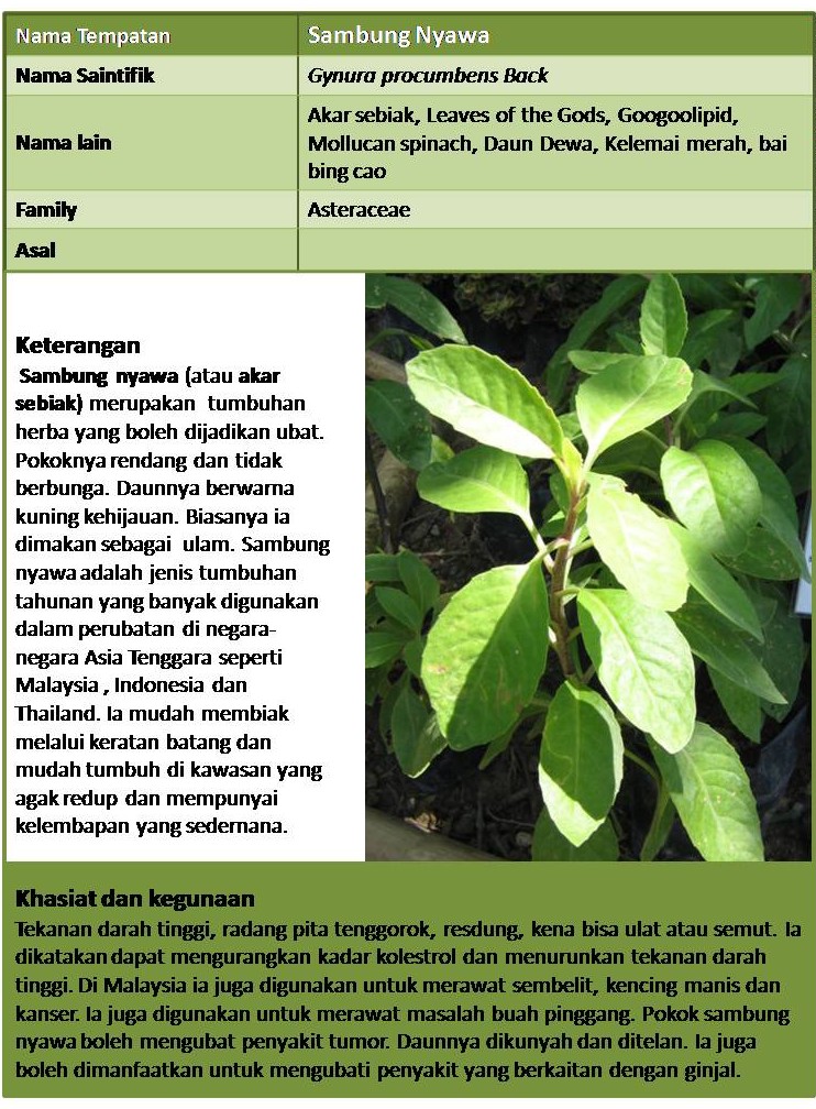 Tree Shrub And Herb Plant Functional Type Anpp Heinrich Event 1