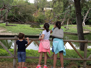 niños disfrutando del zoo vacaciones,verano, zoo, niños, hijos, animales