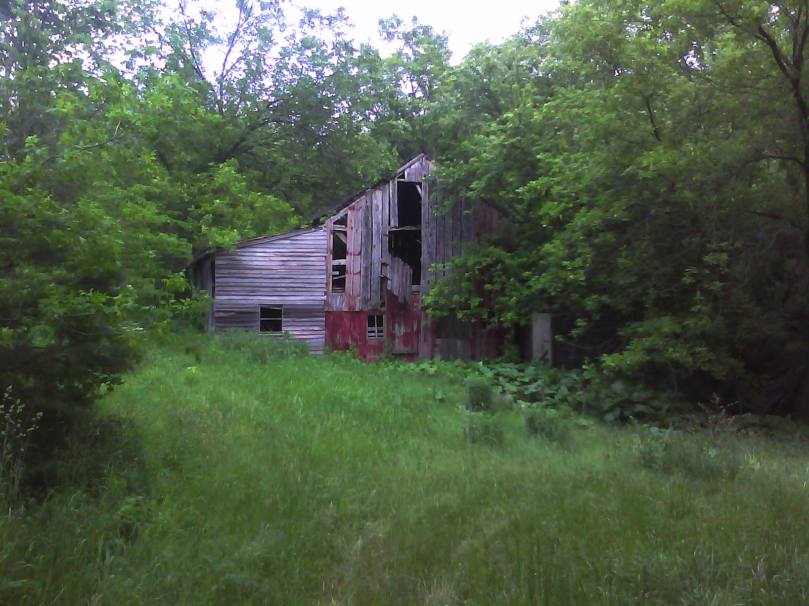 Abandoned MN Various Abandoned Farmsteads