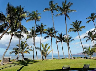 Maui Hawaii FSBO Condos, Real Estate For Sale By Owner
