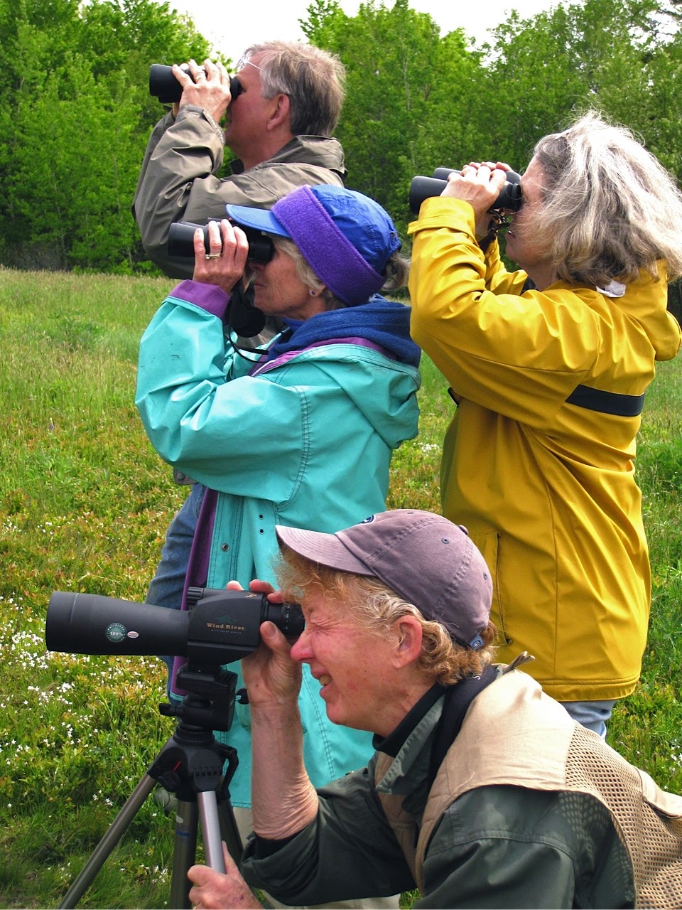Downeast Audubon Photos