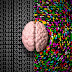 Is Your Brain Logical Or Creative?