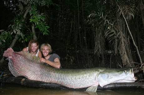 largest freshwater fish largest freshwater fish