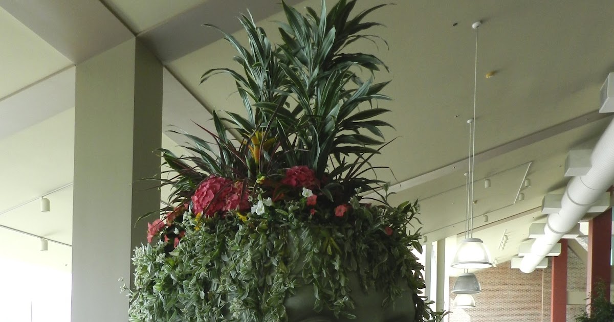 Prairie Rose's Garden Springtime in Chicago The Flower and Garden Show