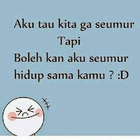 DP BBM Kata Rayuan Gombal Terbaru DP BBM Kata Rayuan Gombal Terbaru