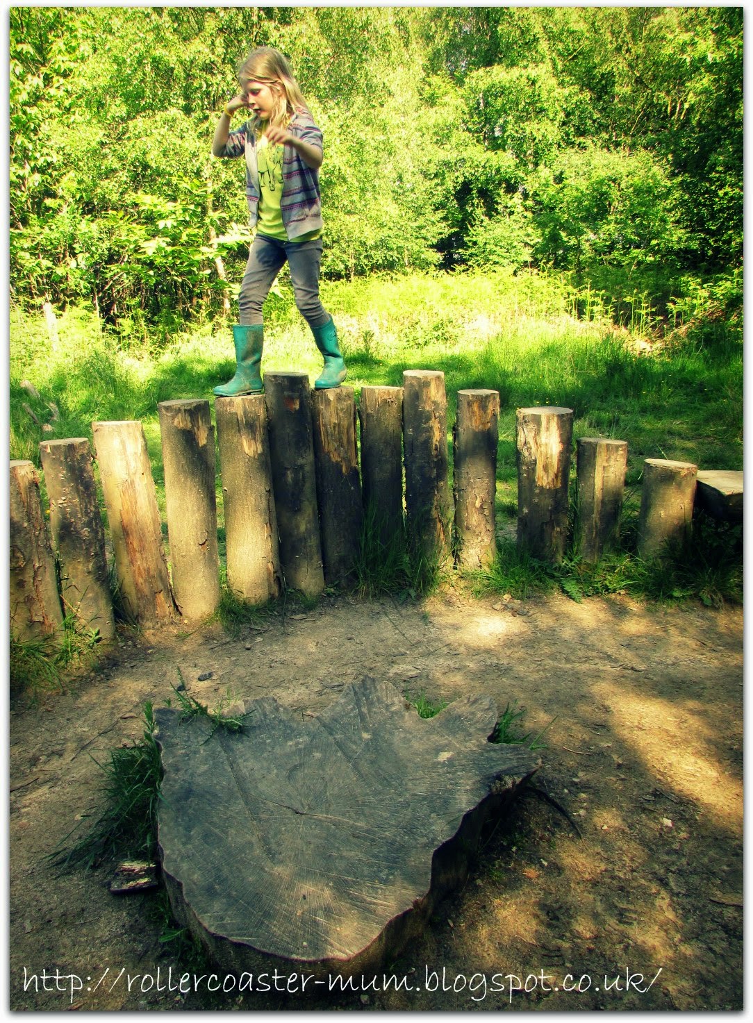 Heffalump footprint, Ashdown Forest Is this a Heffalump footprint?