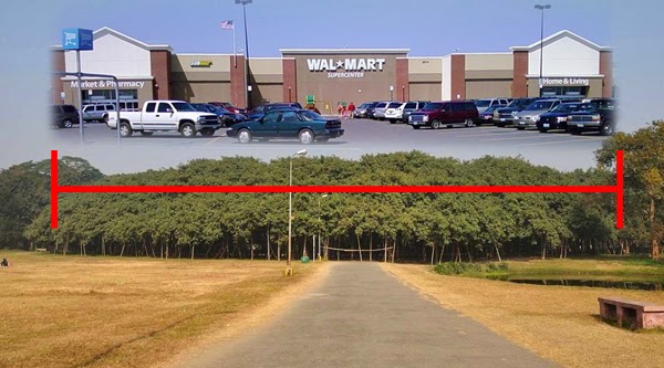 And that tree is about the size of a Walmart. - In India, There Is A Gigantic Tree That Is Bigger Than A Walmart Store. And that tree is about the size of a Walmart. - In India, There Is A Gigantic Tree That Is Bigger Than A Walmart Store.