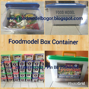 Food Model Box Contianer