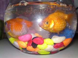 L-R : Bimbo and Danbo. Bimbo chubbier