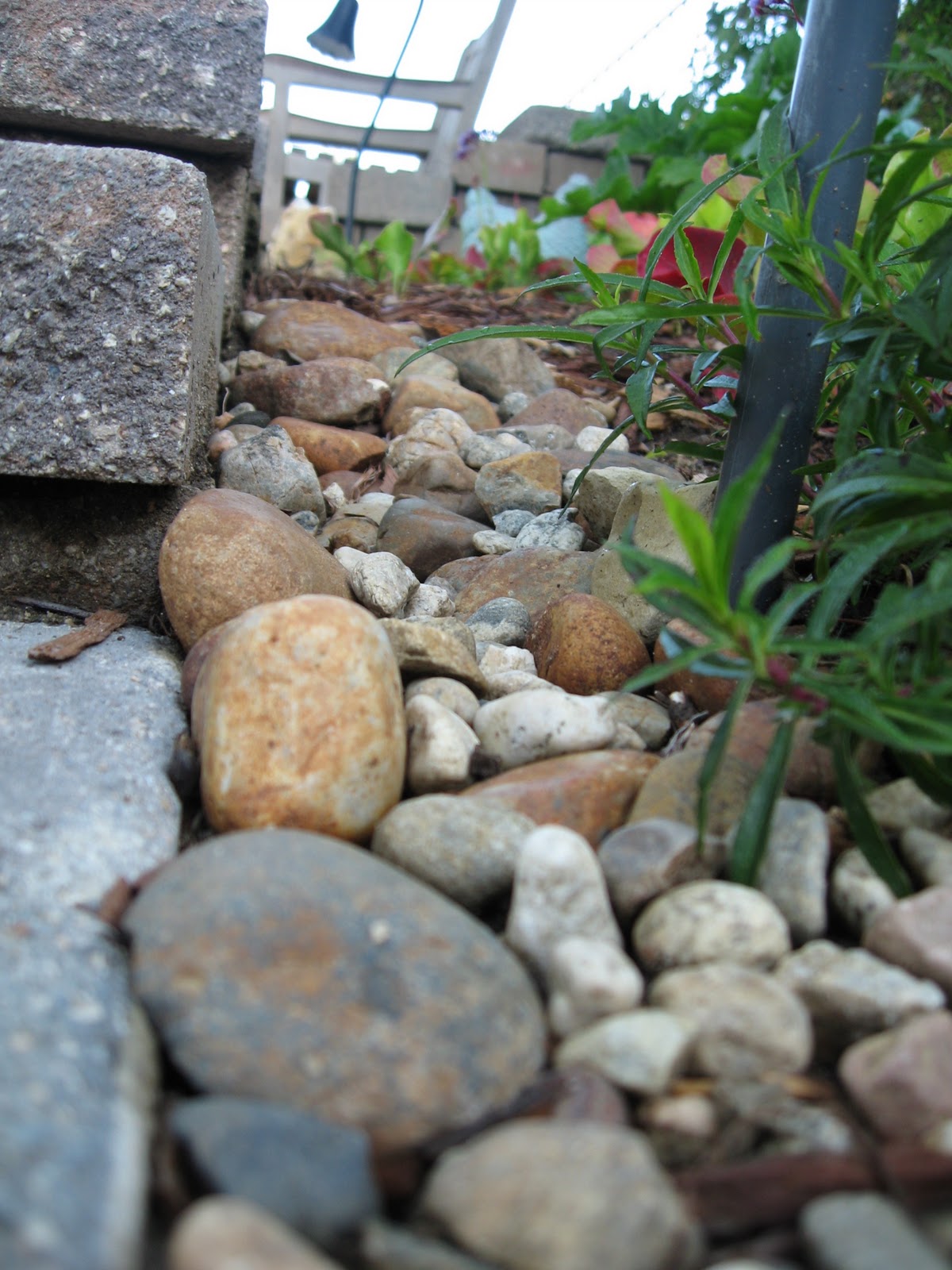 My California Garden in Zone 23 Making my Own Dry Rock "River" Bed