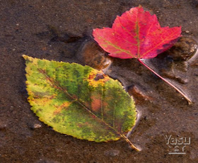 Autumn in The Mohawk Valley!