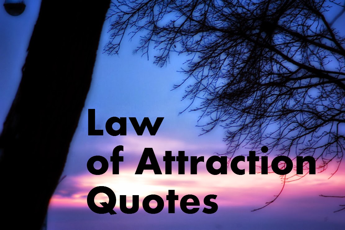 Law of attraction dating a celebrity