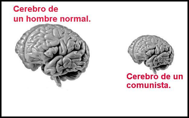 DIFERENCIA ENTRE COMUNISMO Y SOCIALISMO diferencia entre comunismo y socialismo: