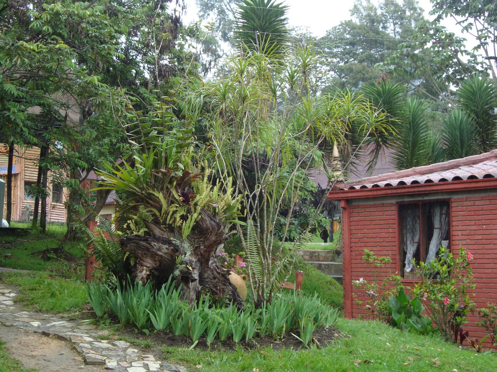 kathalejo: */ V A R S A N A - un lugar en tu corazòn / galerìa