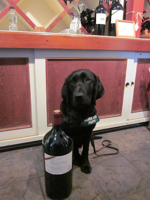 Foley sitting next to a wine bottle nearly as tall as he is