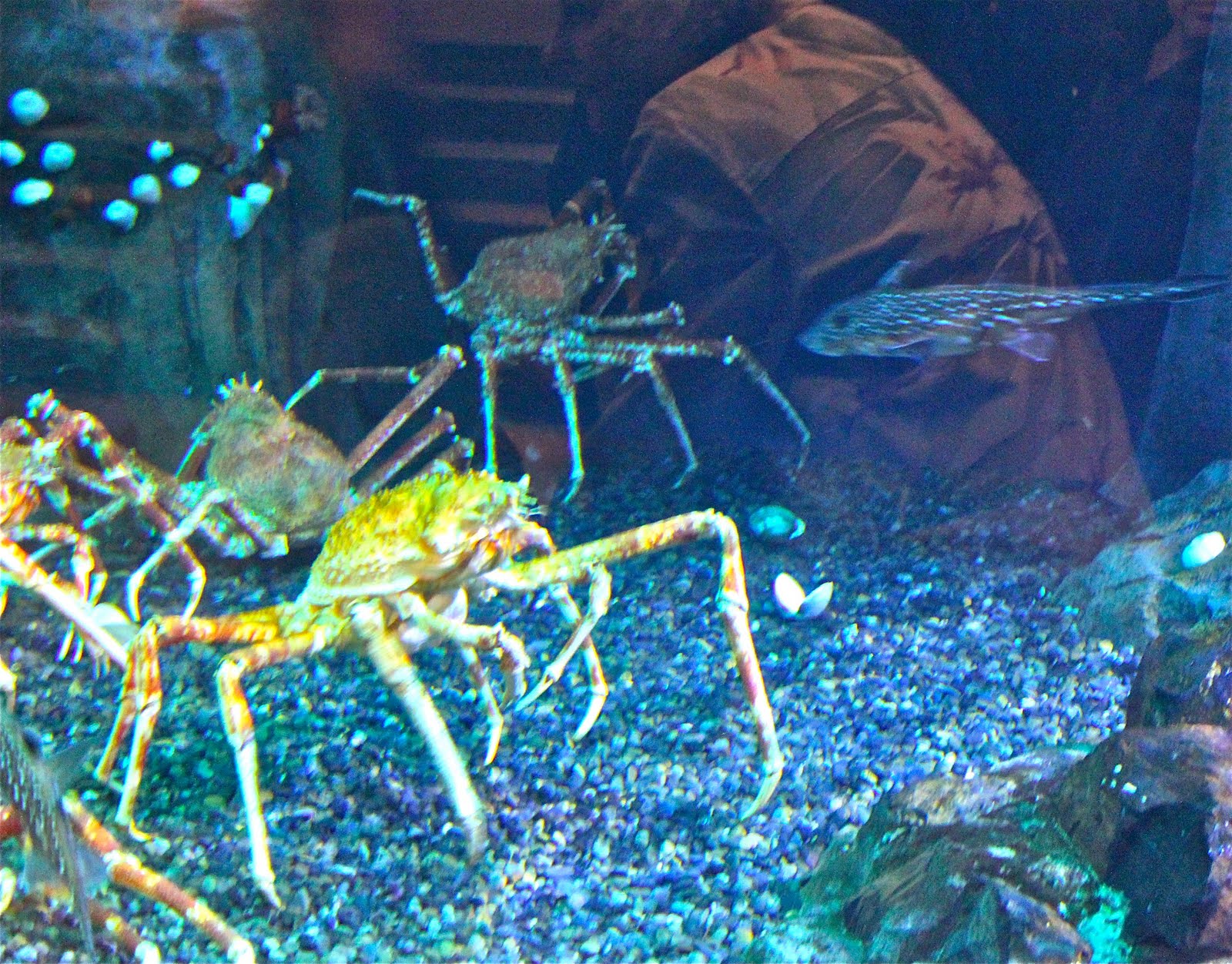 Phillip's Natural World Aquarium