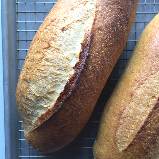 Food Pusher French Bread Batards