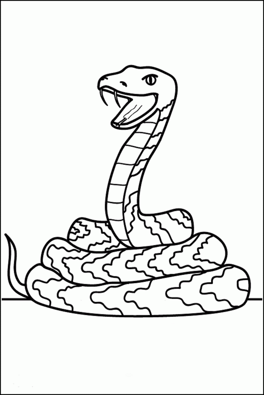 Snake Portrait For Kids Colour Drawing HD Wallpaper