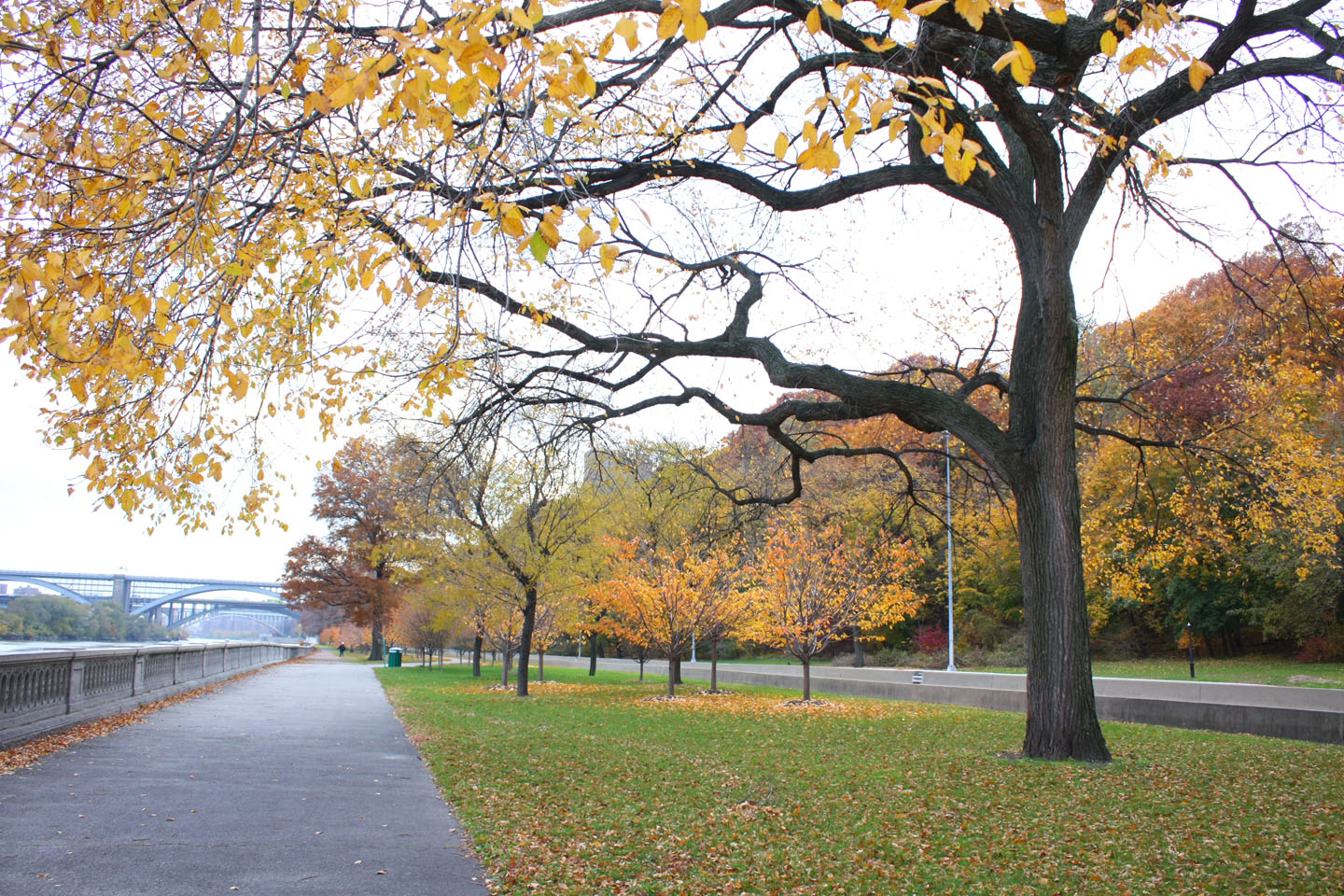 66 Square Feet (Plus) Highbridge Park