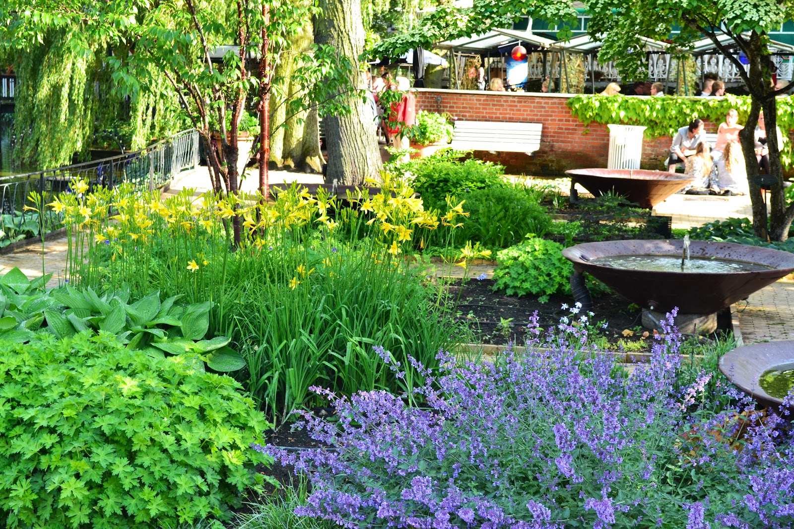 Beautiful garden in trivoli Beautiful garden in trivoli