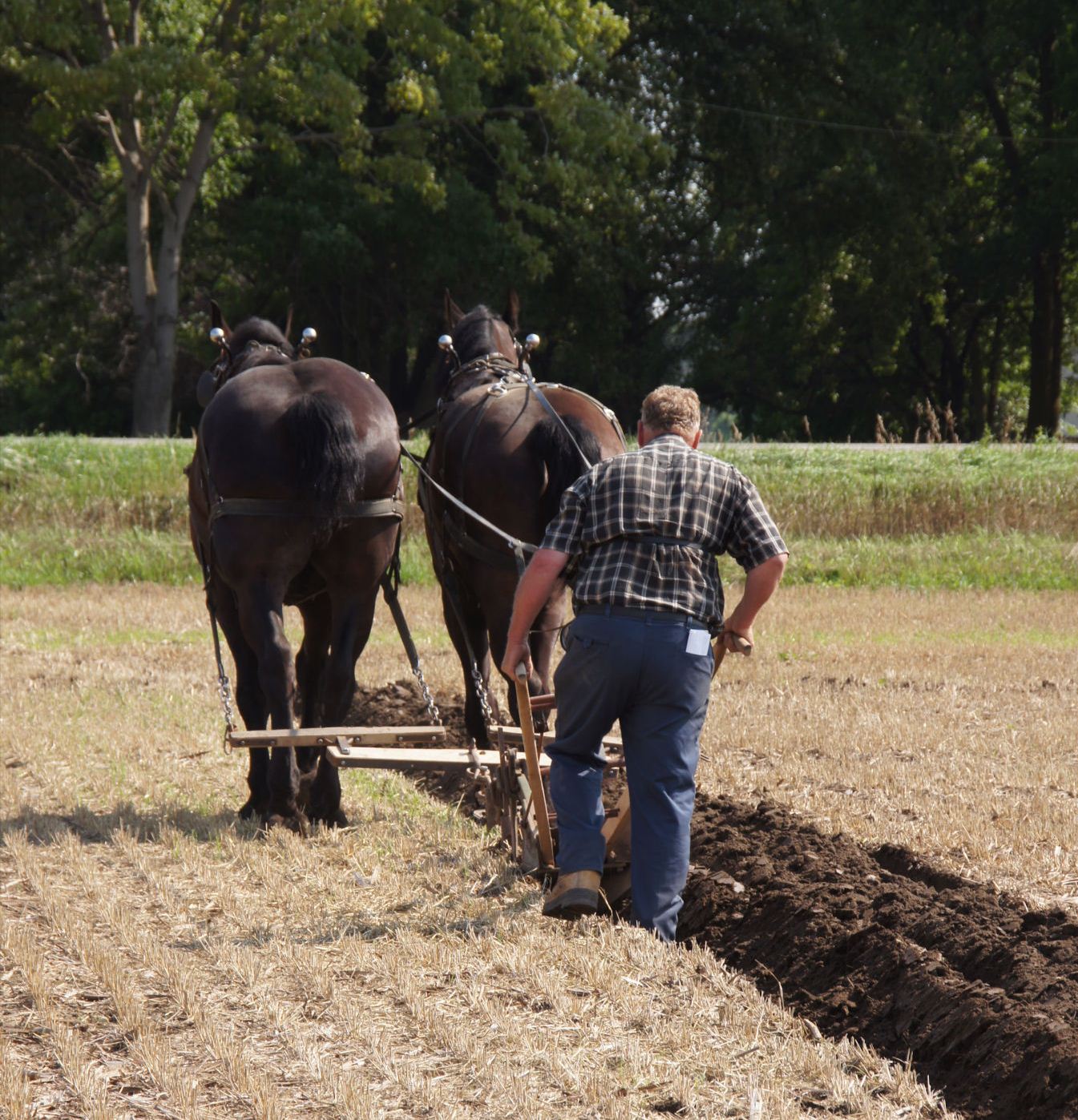 One Tank Trips Country 'boys and girls' havin' fun on the farm at the