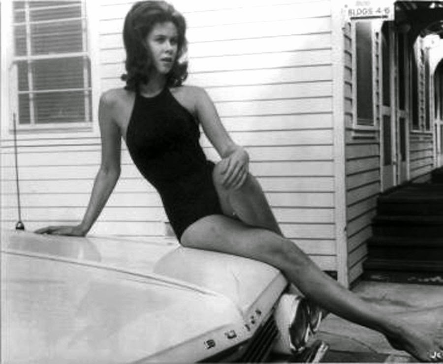 elizabeth montgomery bikini film noir photos bathing beauties elizabeth montgomery elizabeth montgomery bikini film noir photos bathing beauties elizabeth montgomery