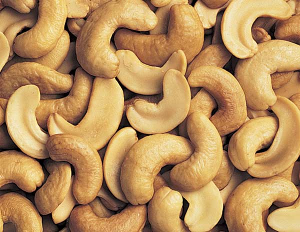 Single Cashew