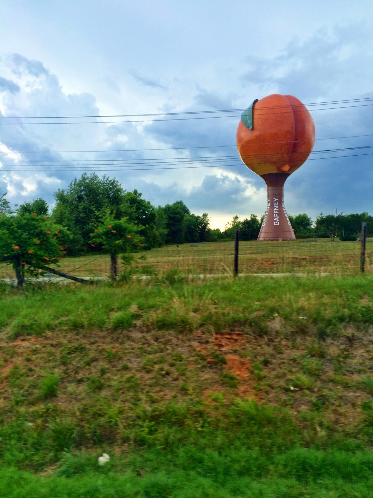 The Daily Rant Life's A Peach