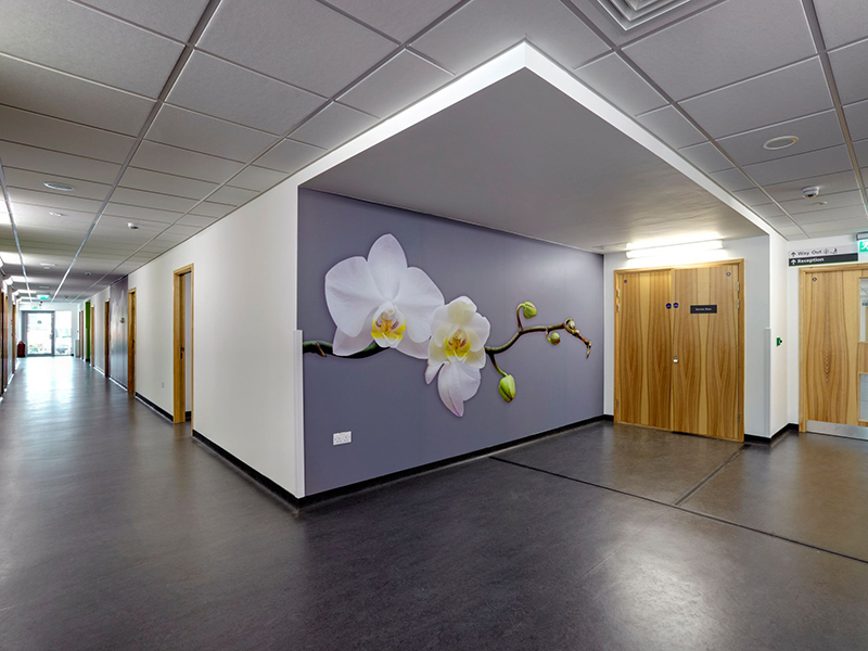 Suspended Ceilings Manchester Snakepress Com Cjceilings London Suspended Ceilings In Manchester Gaining Pority