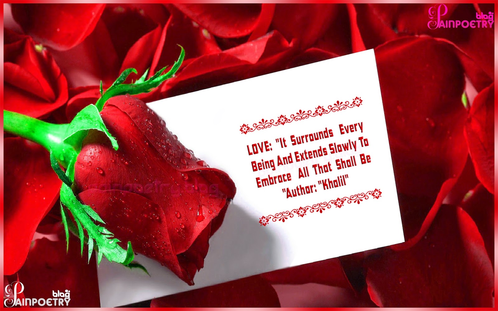 Love-Greeting-Quote-For-Lovers-With-A-Rose-Image-Wallpaper-Photo-Wide Love-Greeting-Quote-For-Lovers-With-A-Rose-Image-Wallpaper-Photo-Wide