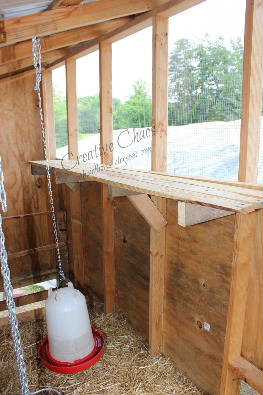 Creative Chaos Coop Upgrade