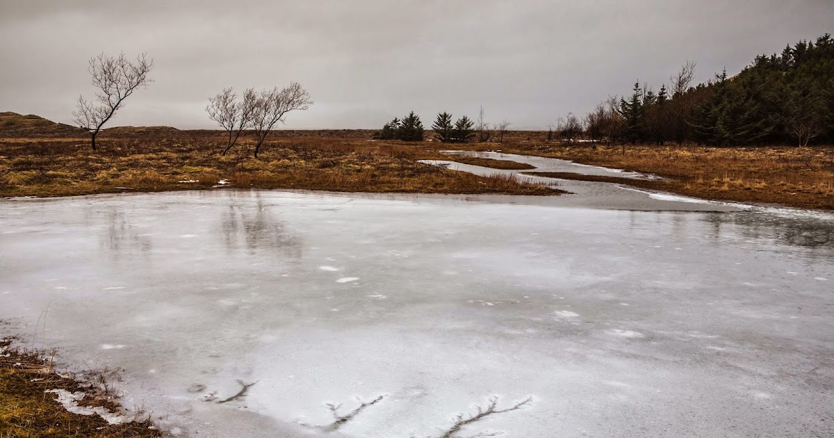 Sophie Carr�s Photo Blog Iceland 2014 Day 3 From Höfn to