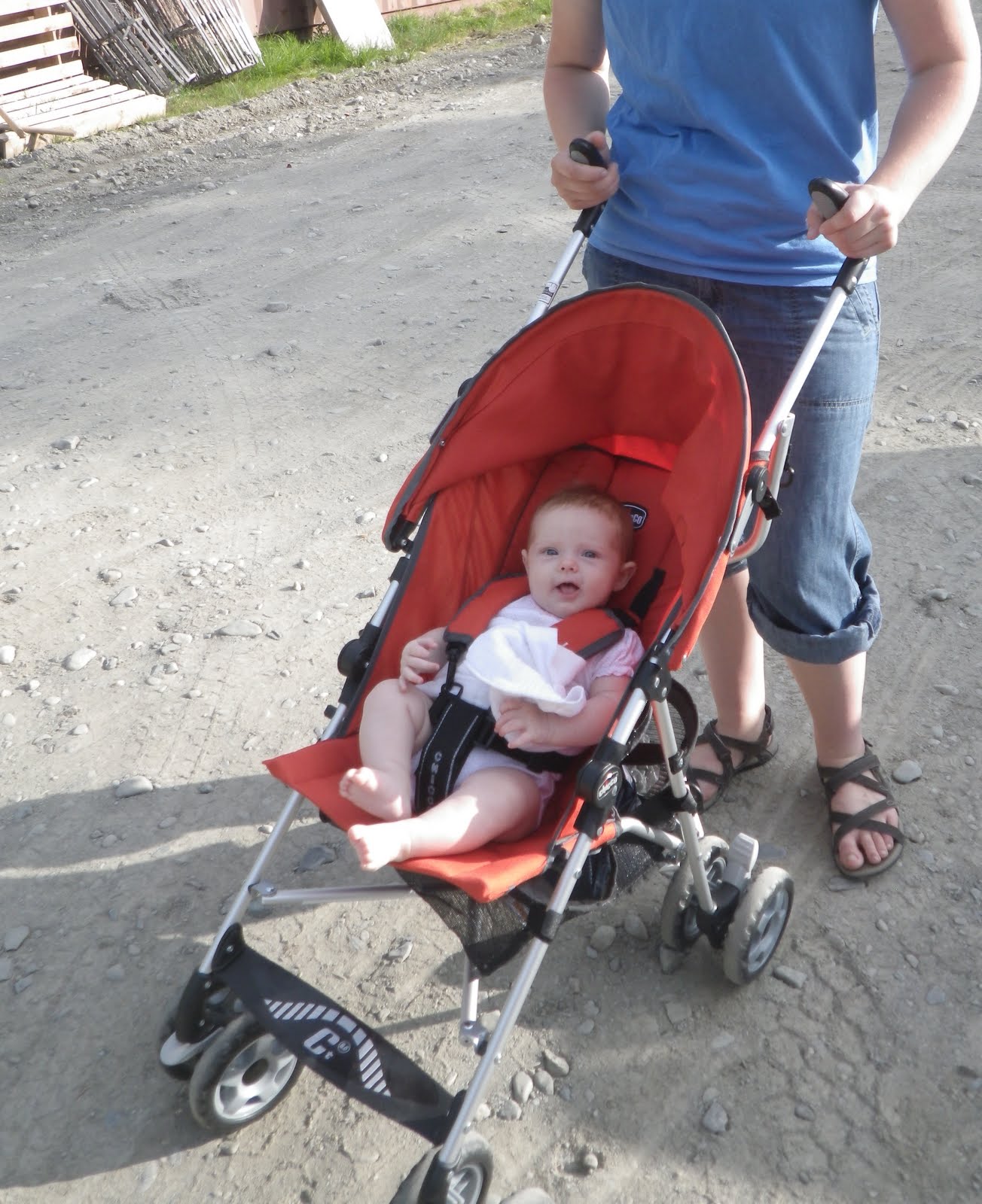 3 month baby stroller