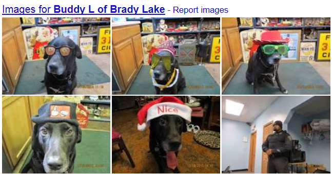 Who would make the best guard for Brady Lake Village council meetings ?