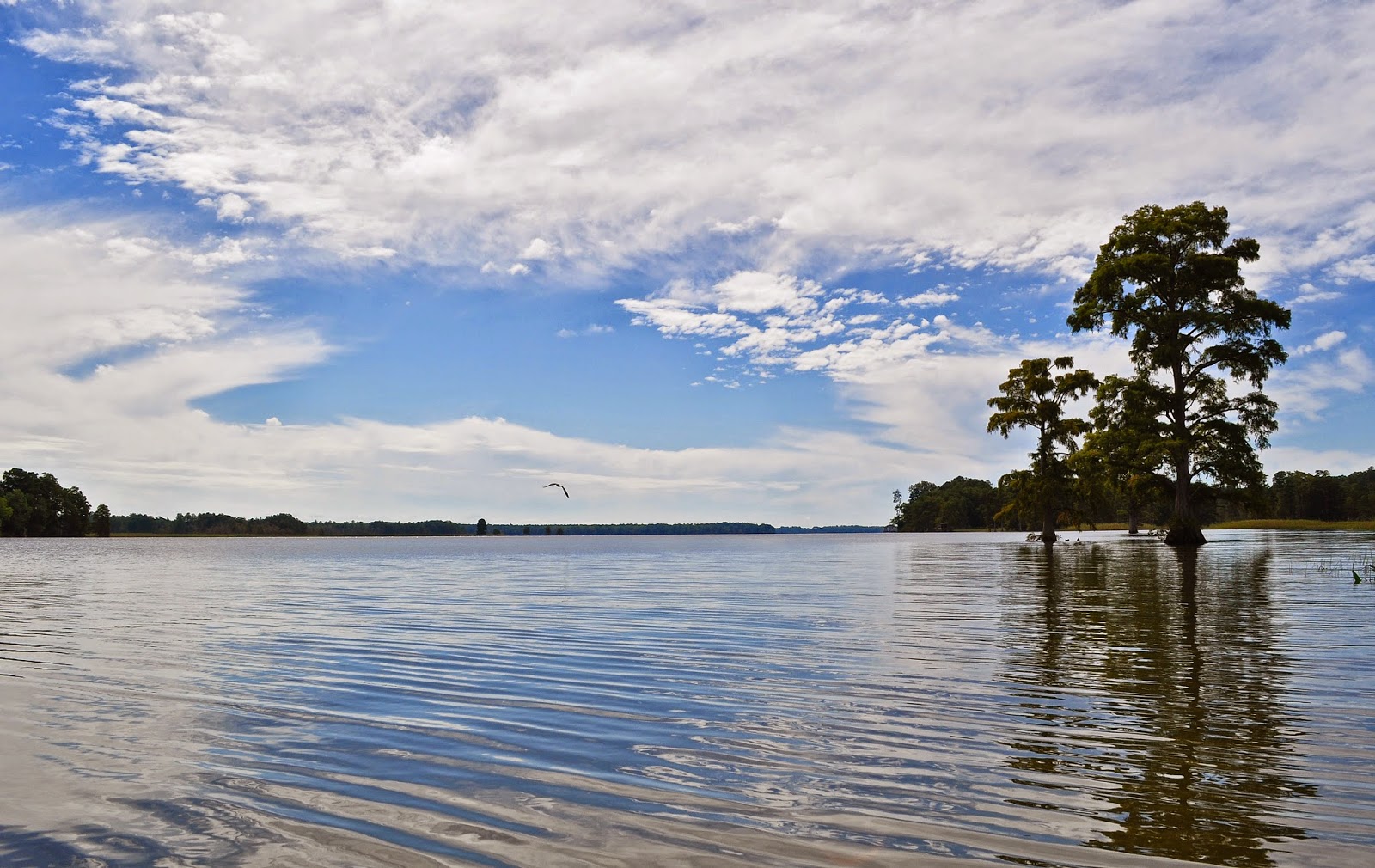 A Tidewater Paddler Chickahominy River 9/21/14