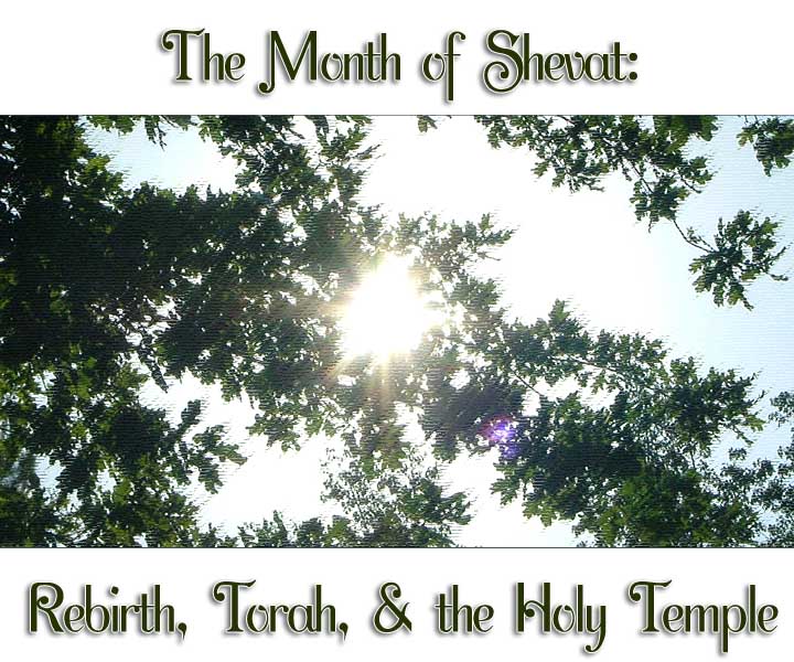 Pattamarot Shevat, the 11th Hebrew Month