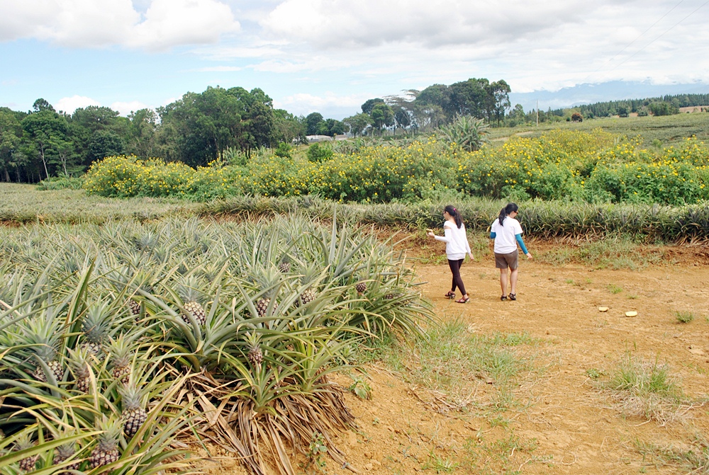 Mga Lakwacherang Doktora Conquering Northern Mindanao Eating Fresh