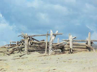 photo of drifwood bar at Nedonna Beach Oregon by Nancy Zavada