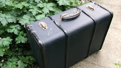 Vintage Cases