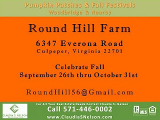 Pumpkin Patches near Woodbridge Virginia 2015, Round Hill Farm Culpeper