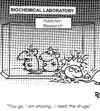 World of Biochemistry (blog about biochemistry): Cartoon about animal experiments